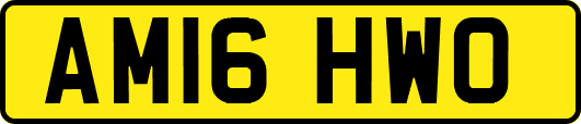 AM16HWO