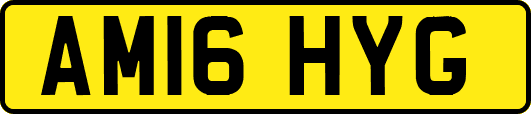 AM16HYG