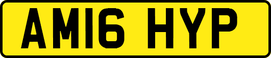 AM16HYP