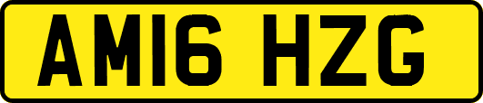 AM16HZG