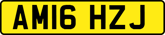 AM16HZJ