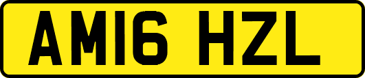 AM16HZL