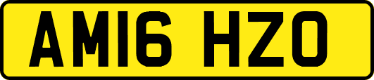 AM16HZO