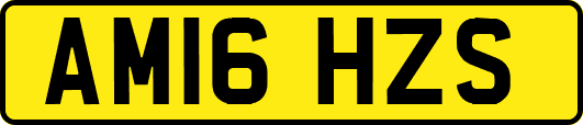 AM16HZS