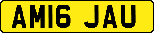 AM16JAU