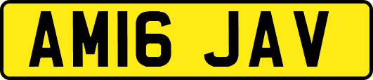 AM16JAV