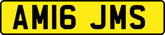 AM16JMS