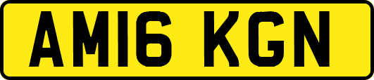 AM16KGN