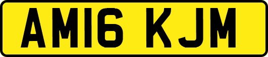 AM16KJM