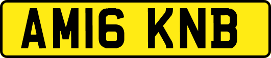 AM16KNB