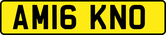 AM16KNO