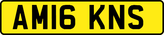 AM16KNS