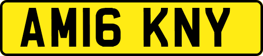 AM16KNY