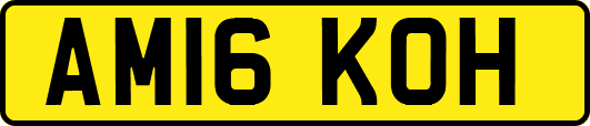 AM16KOH