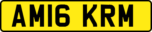 AM16KRM