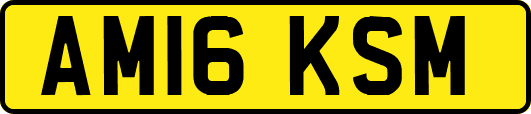 AM16KSM