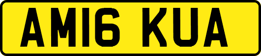 AM16KUA