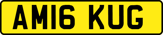 AM16KUG