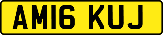AM16KUJ