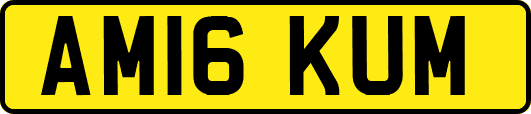 AM16KUM