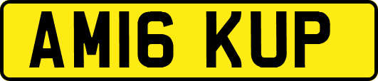 AM16KUP