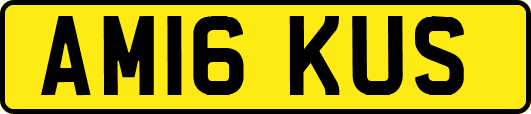 AM16KUS