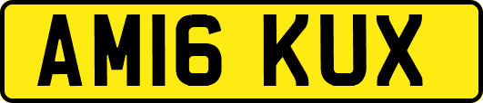 AM16KUX