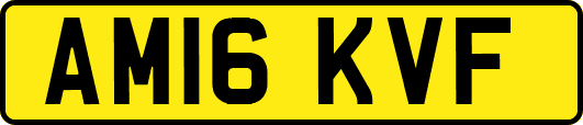 AM16KVF