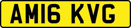 AM16KVG