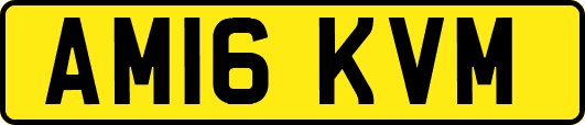 AM16KVM