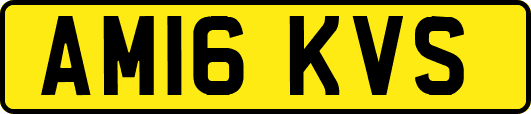 AM16KVS