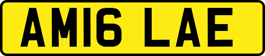 AM16LAE