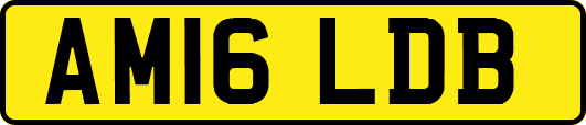 AM16LDB