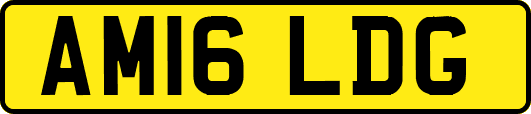 AM16LDG