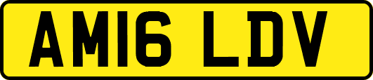 AM16LDV