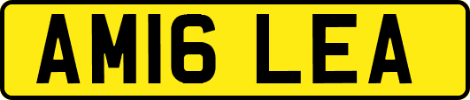 AM16LEA