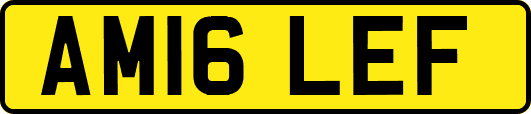 AM16LEF