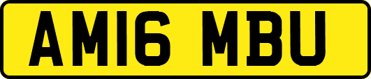 AM16MBU