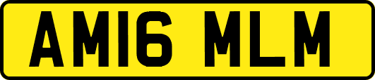 AM16MLM