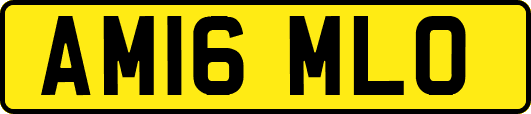 AM16MLO