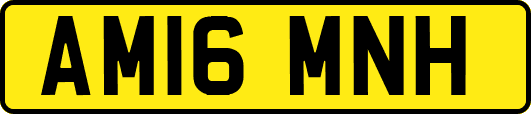 AM16MNH