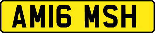 AM16MSH