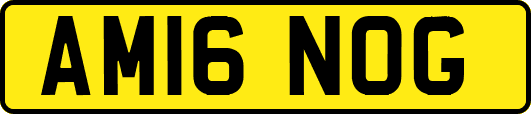 AM16NOG