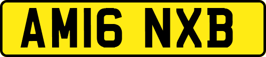 AM16NXB