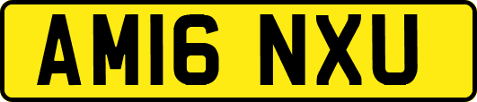 AM16NXU