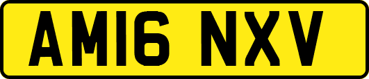 AM16NXV