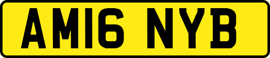 AM16NYB