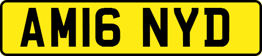 AM16NYD