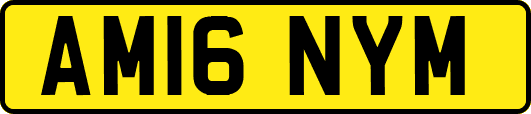 AM16NYM