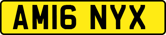 AM16NYX